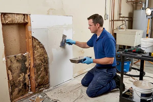 Mold and Drywall Repair Sammamish