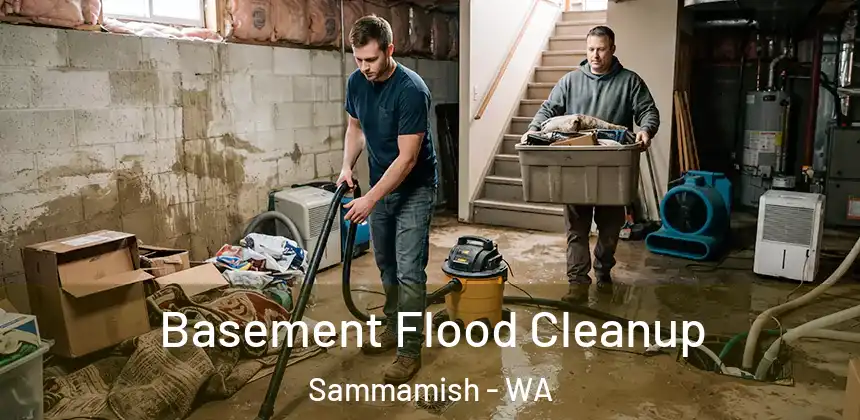 Basement Flood Cleanup Sammamish - WA