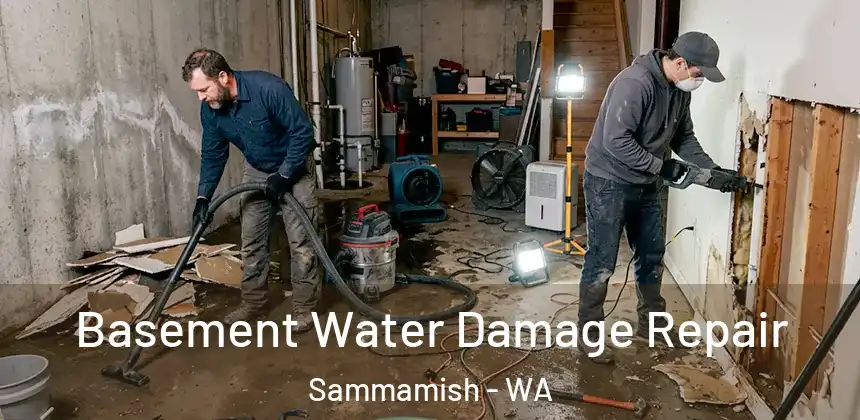Basement Water Damage Repair Sammamish - WA