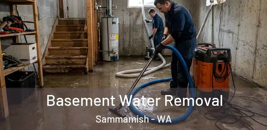  Basement Water Removal Sammamish - WA