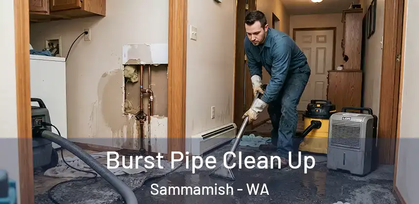  Burst Pipe Clean Up Sammamish - WA
