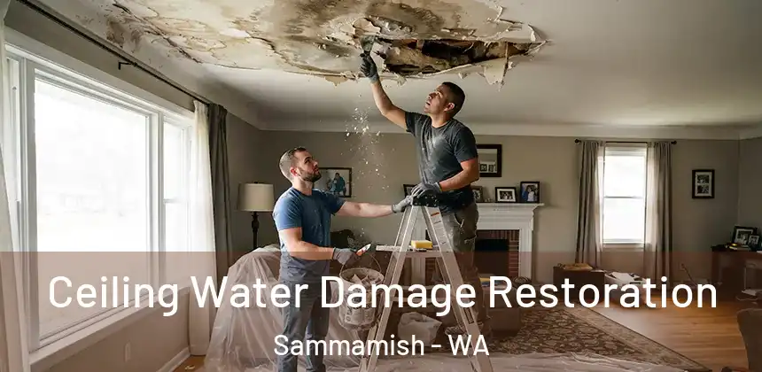 Ceiling Water Damage Restoration Sammamish - WA