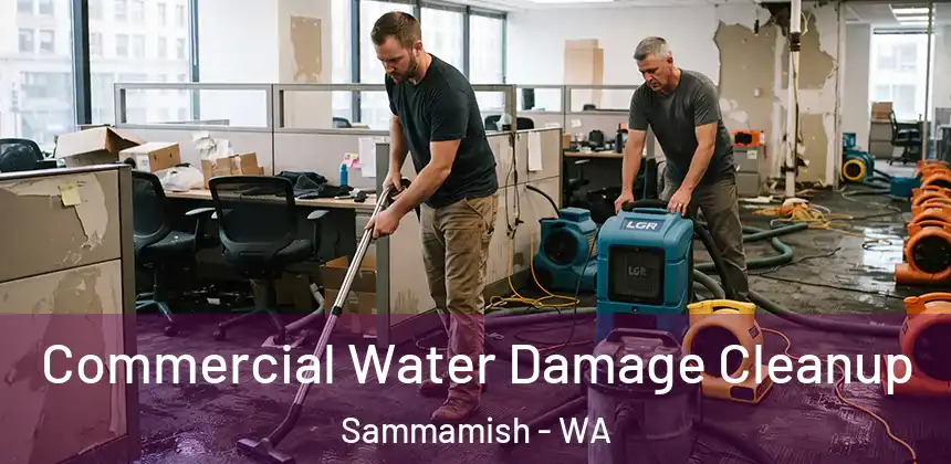 Commercial Water Damage Cleanup Sammamish - WA