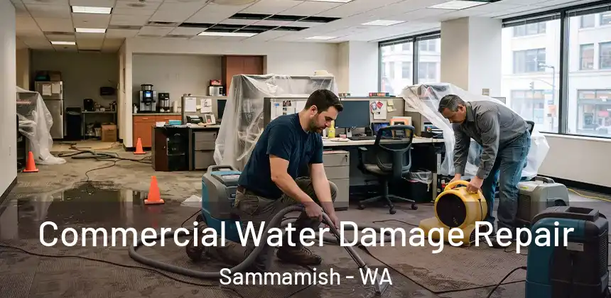  Commercial Water Damage Repair Sammamish - WA