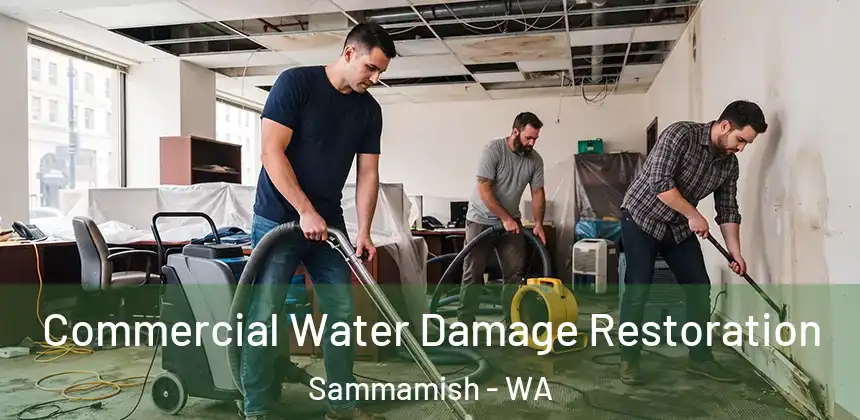 Commercial Water Damage Restoration Sammamish - WA
