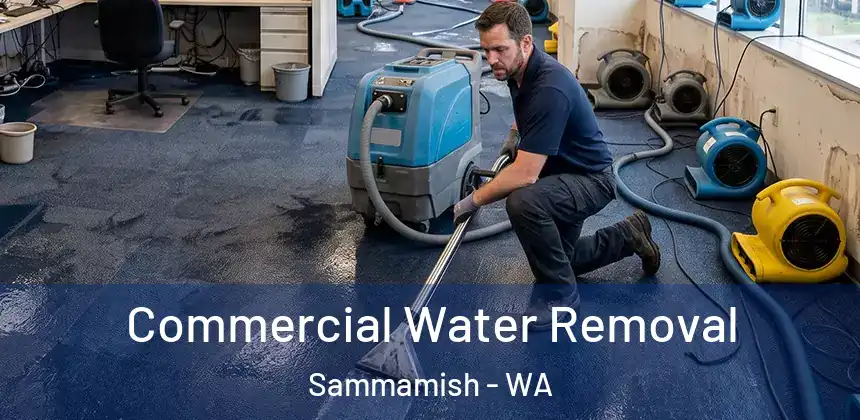 Commercial Water Removal Sammamish - WA