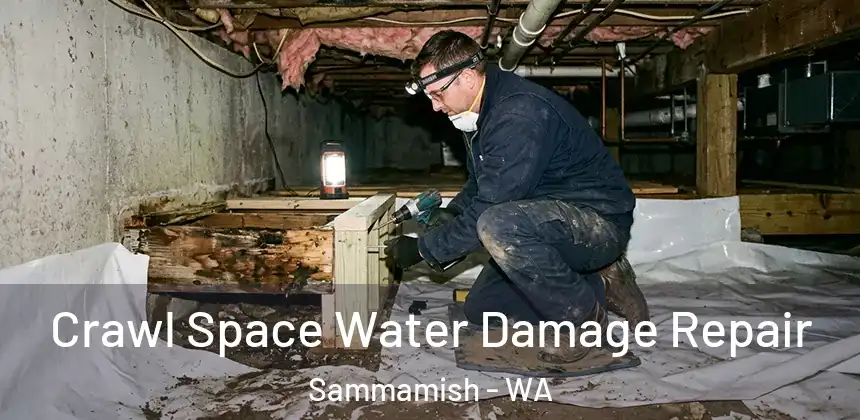 Crawl Space Water Damage Repair Sammamish - WA