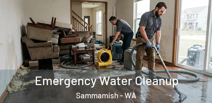 Emergency Water Cleanup Sammamish - WA