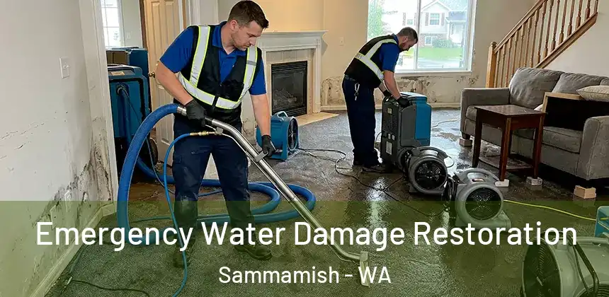Emergency Water Damage Restoration Sammamish - WA