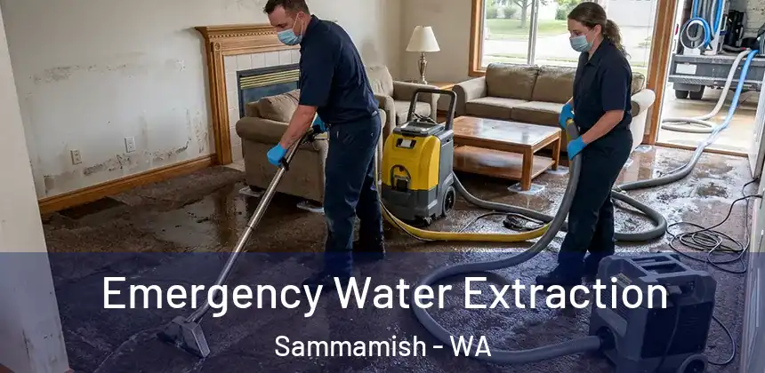 Emergency Water Extraction Sammamish - WA