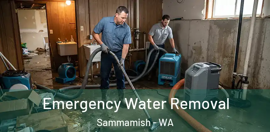 Emergency Water Removal Sammamish - WA