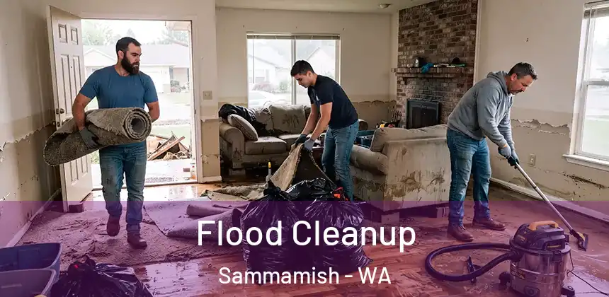 Flood Cleanup Sammamish - WA