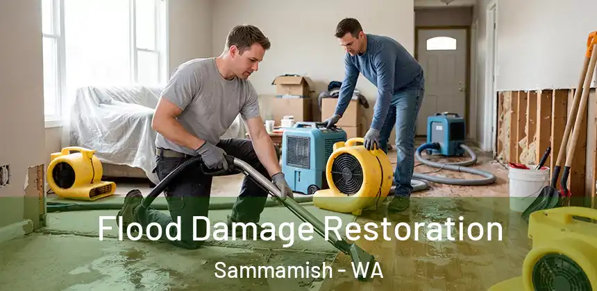  Flood Damage Restoration Sammamish - WA