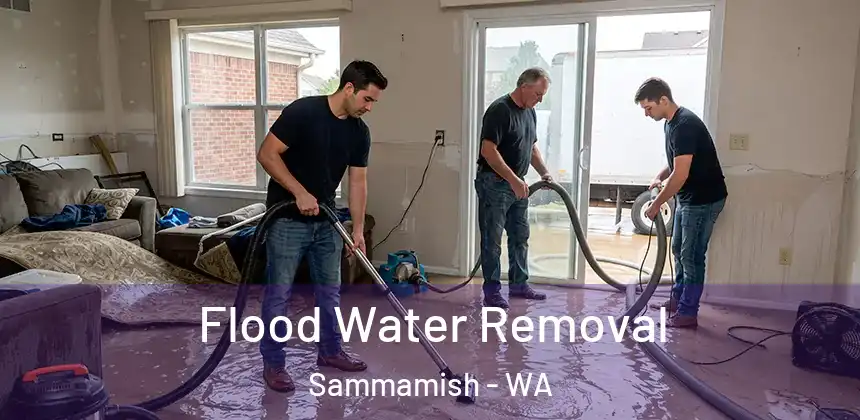 Flood Water Removal Sammamish - WA