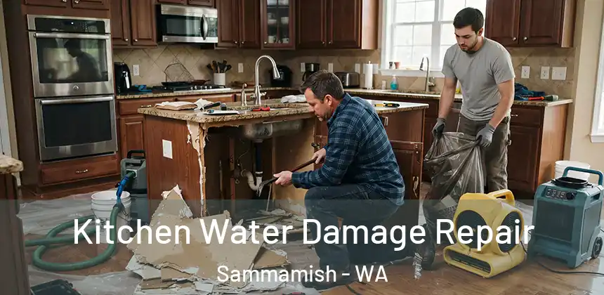  Kitchen Water Damage Repair Sammamish - WA