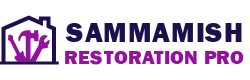 Sammamish Restoration Pro