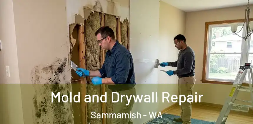 Mold and Drywall Repair Sammamish - WA