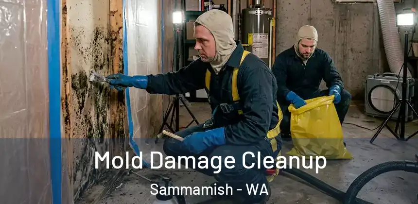 Mold Damage Cleanup Sammamish - WA