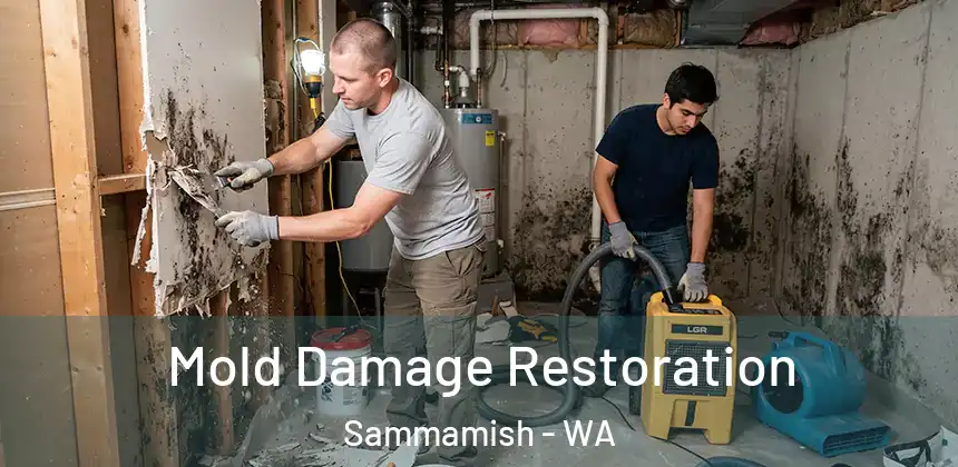  Mold Damage Restoration Sammamish - WA