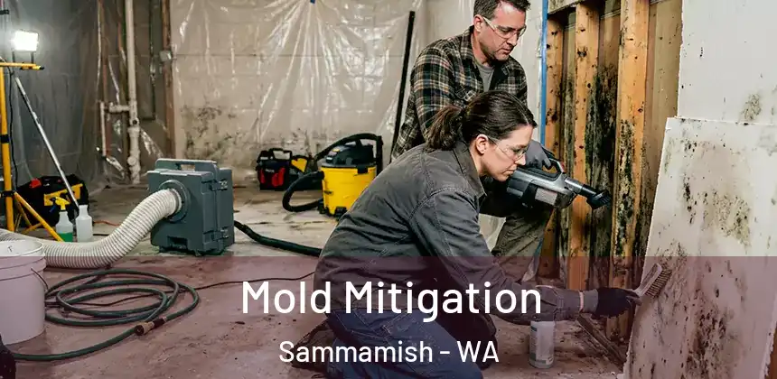 Mold Mitigation Sammamish - WA