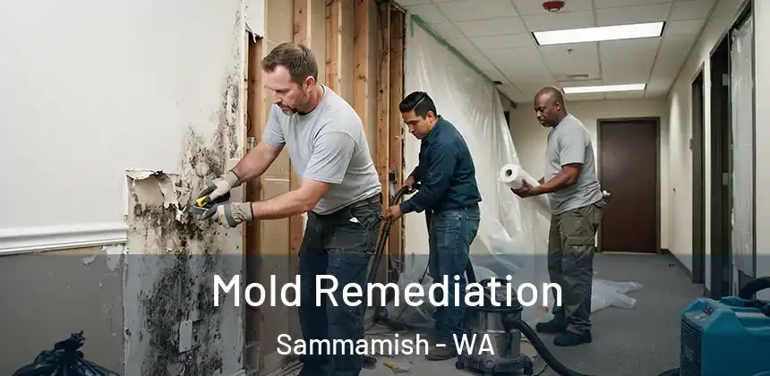  Mold Remediation Sammamish - WA