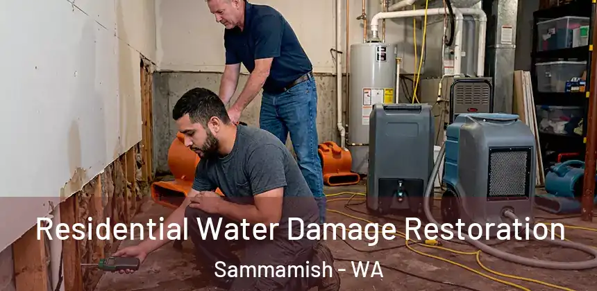 Residential Water Damage Restoration Sammamish - WA