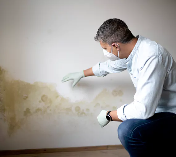 Mold Removal Service in Sammamish, WA
