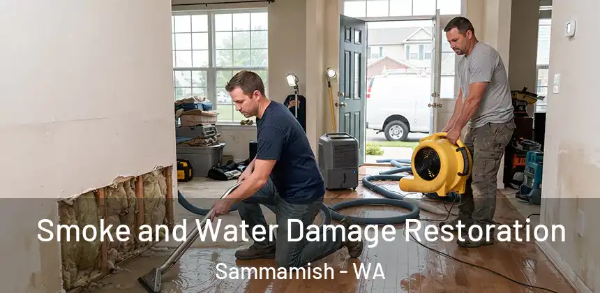  Smoke and Water Damage Restoration Sammamish - WA