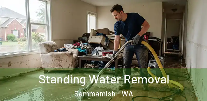 Standing Water Removal Sammamish - WA