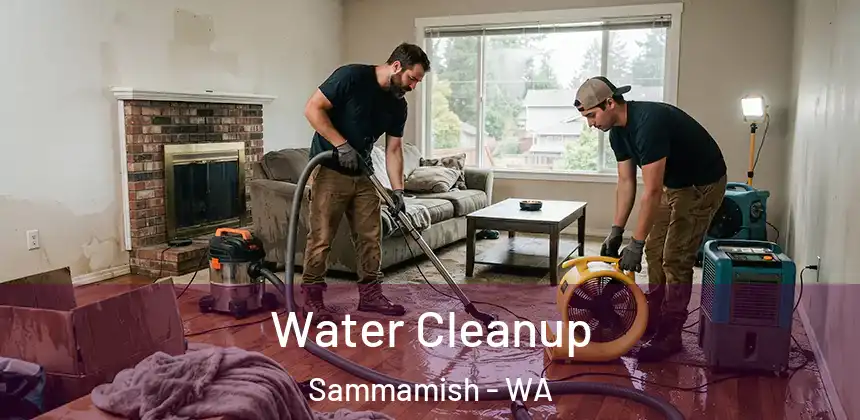 Water Cleanup Sammamish - WA