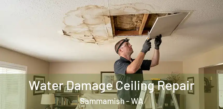 Water Damage Ceiling Repair Sammamish - WA