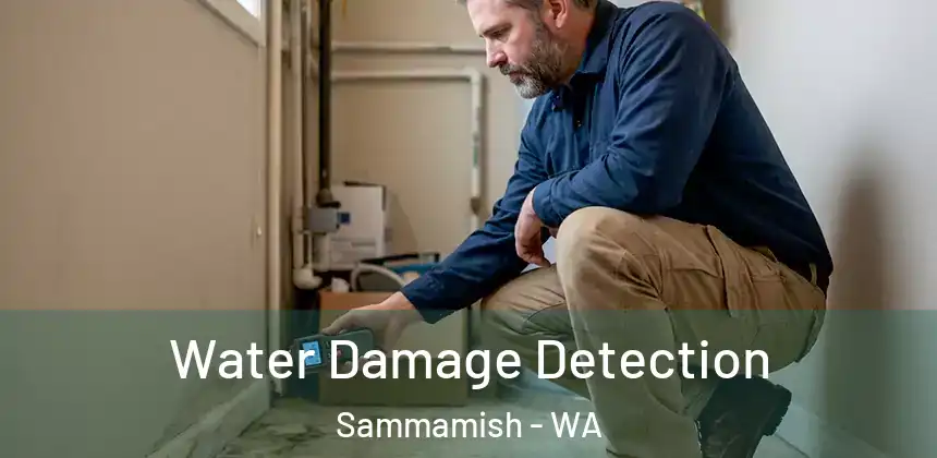 Water Damage Detection Sammamish - WA