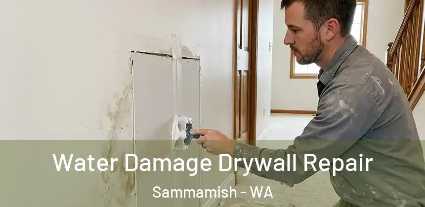 Water Damage Drywall Repair Sammamish - WA
