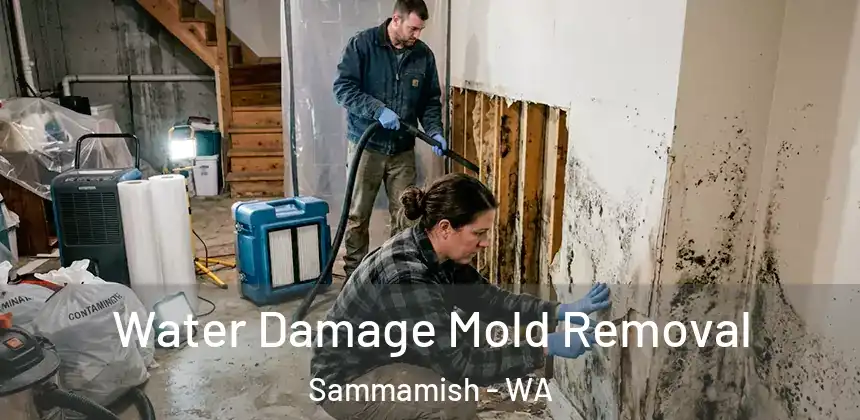 Water Damage Mold Removal Sammamish - WA