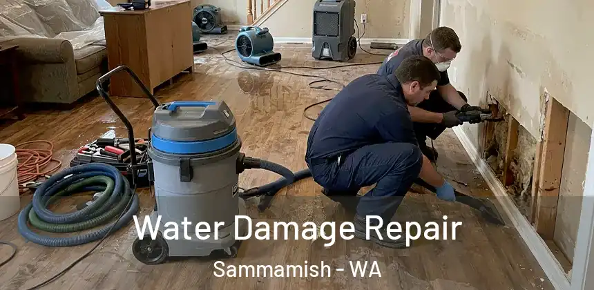  Water Damage Repair Sammamish - WA