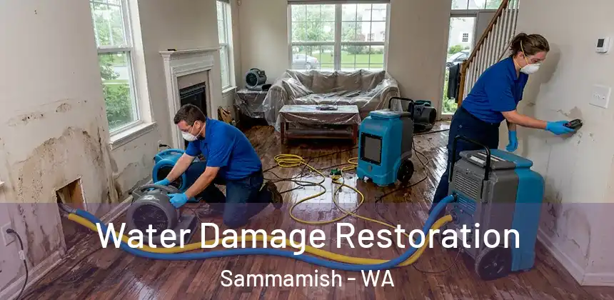  Water Damage Restoration Sammamish - WA