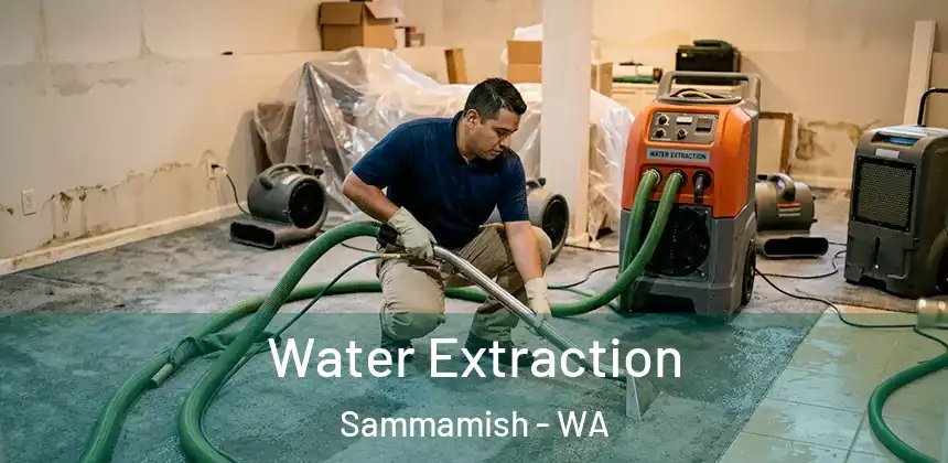Water Extraction Sammamish - WA