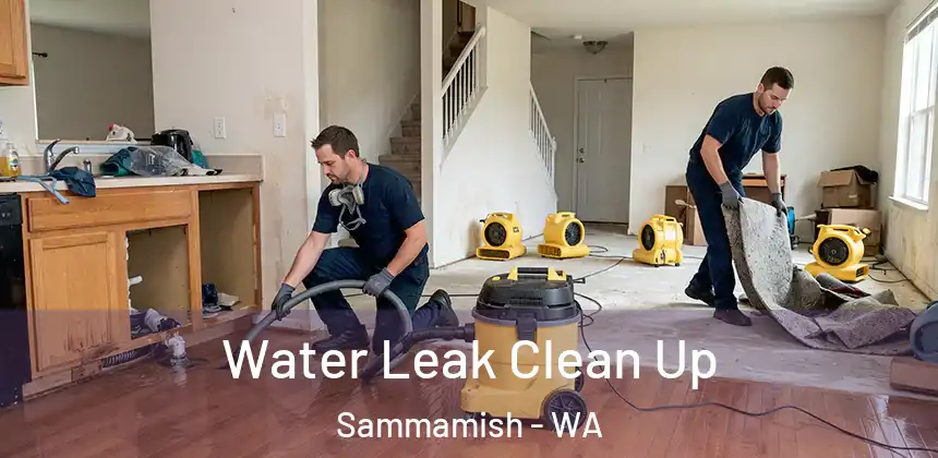  Water Leak Clean Up Sammamish - WA