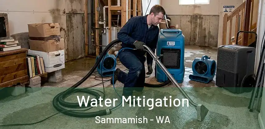 Water Mitigation Sammamish - WA