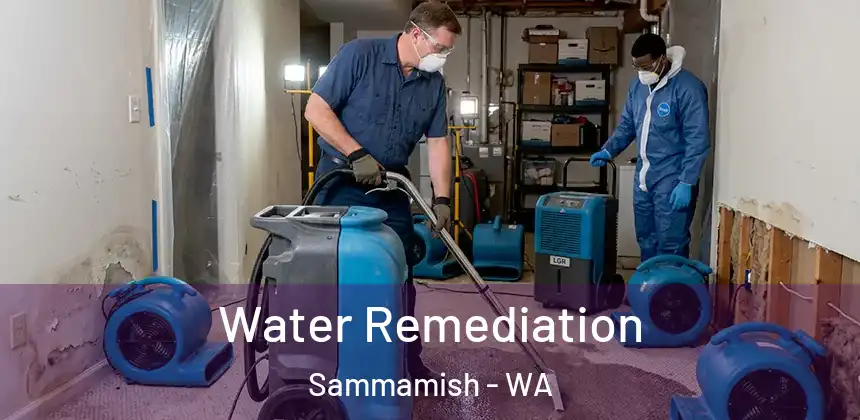 Water Remediation Sammamish - WA