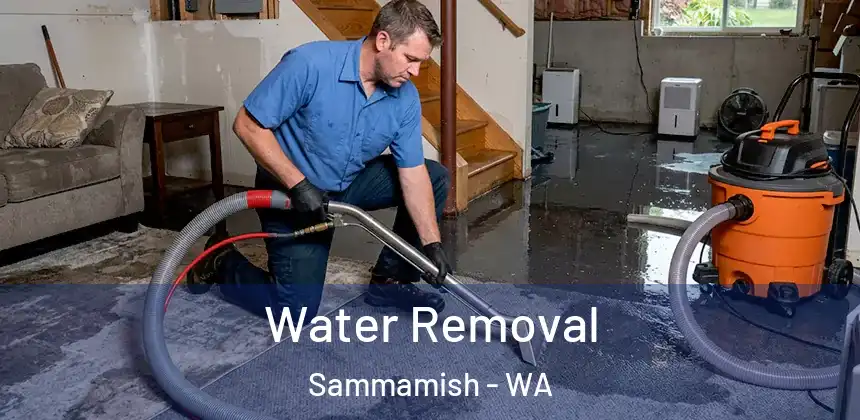  Water Removal Sammamish - WA