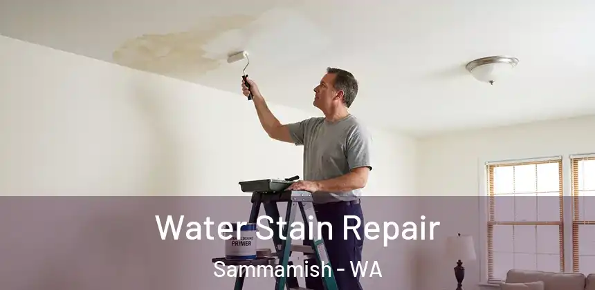  Water Stain Repair Sammamish - WA